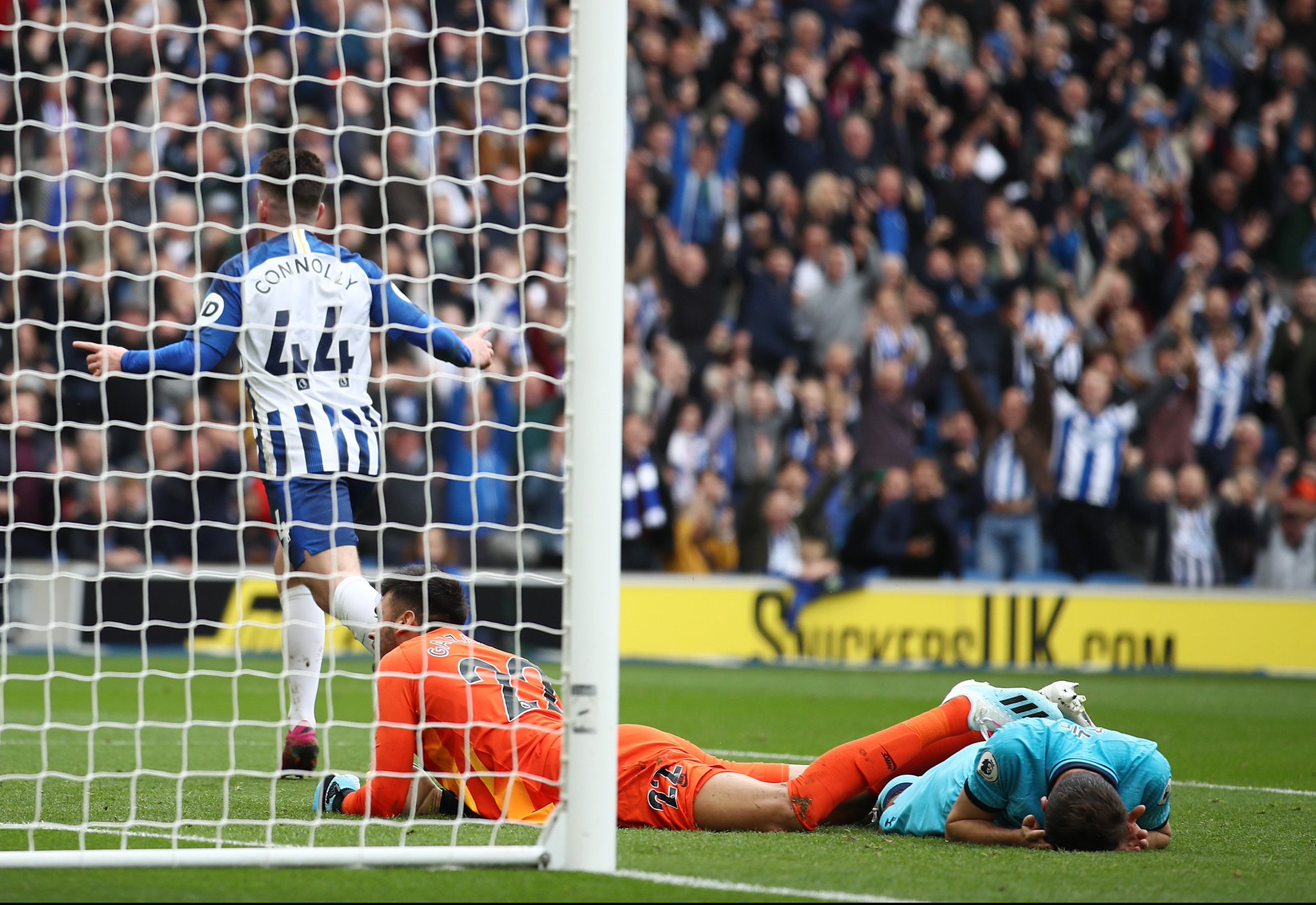 训练自己的 训练自己的